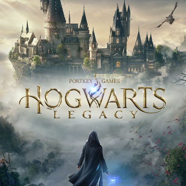 w vgs adventure hogwarts legacy.jpg